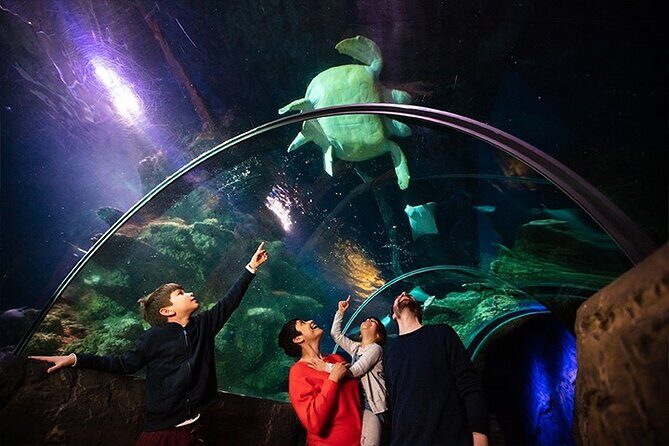 SEA LIFE London Aquarium Admission Ticket - Who Will Love It?