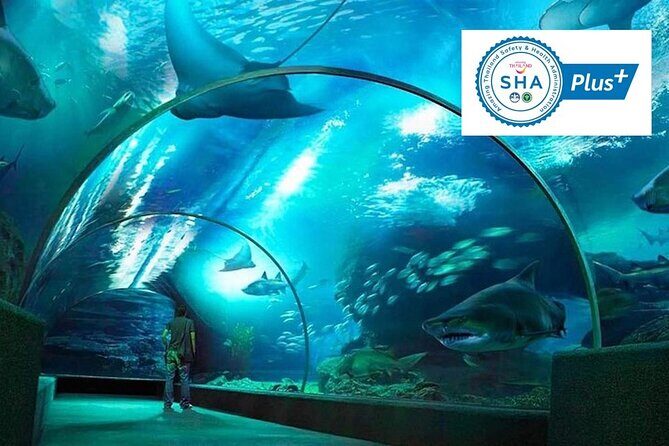 SEA LIFE & Madame Tussauds: Ultimate Bangkok Combo Ticket - Who Is This Best For?