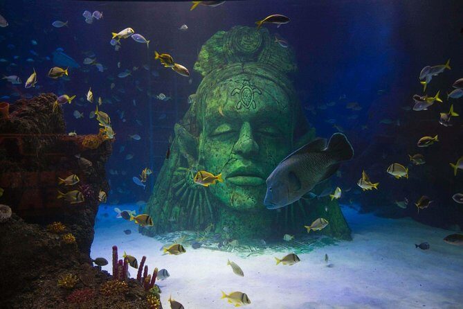 SEA LIFE Manchester Admission Ticket - Who Will Love This?