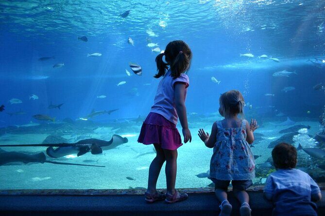 SEA LIFE Munich Admission Ticket - Introduction: What to Expect at SEA LIFE Munich