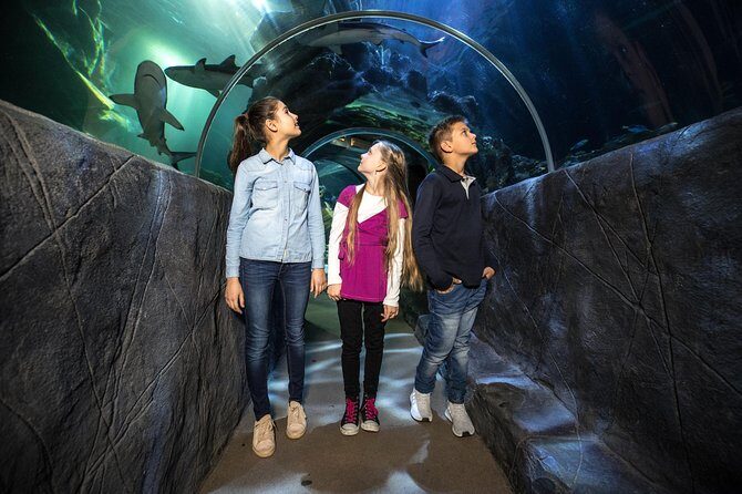 SEA LIFE Munich Admission Ticket - Practical Details and Tips for Visitors