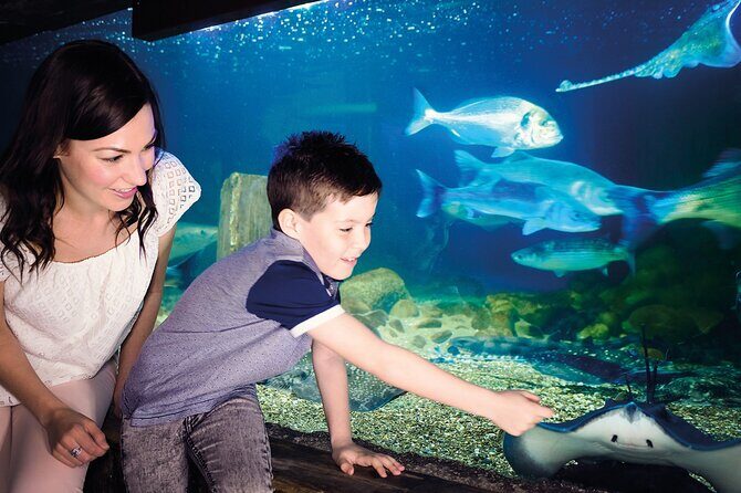 SEA LIFE Munich Admission Ticket - Is It Worth the Price?