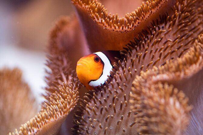 SEA LIFE Munich Admission Ticket - Who Should Consider Visiting?