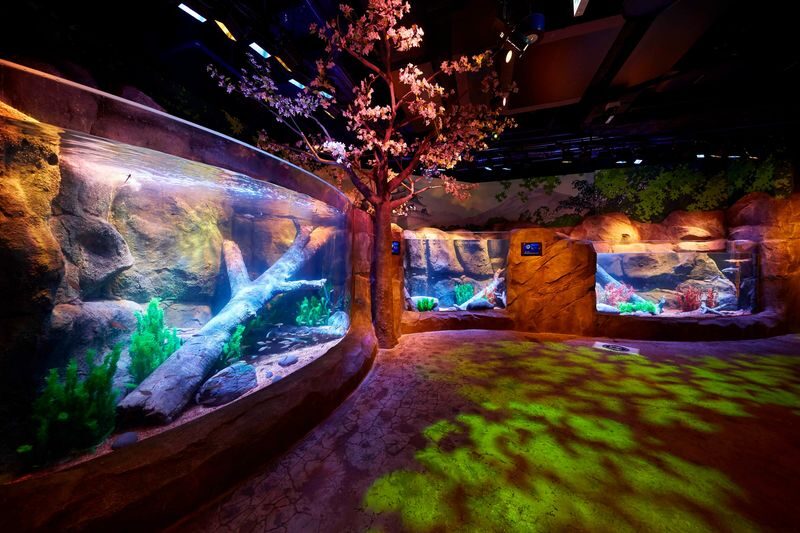 SEA LIFE Nagoya Aquarium Ticket - What SEA LIFE Nagoya is, and what it is not