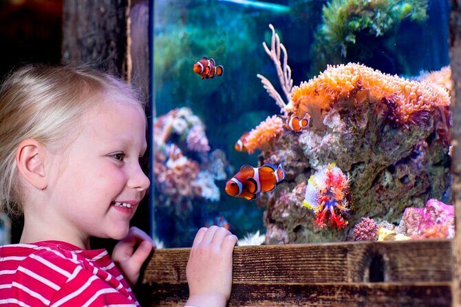 SEA LIFE Oberhausen Admission Ticket - The Value of a Visit to SEA LIFE Oberhausen