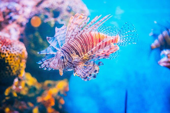 SEA LIFE Ocean World at Bangkok Admission Ticket - FAQ