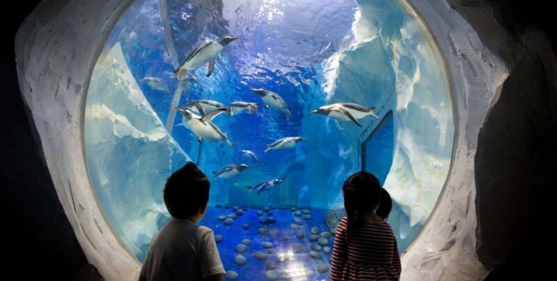 SEA LIFE Paris: Admission Ticket - Final Thoughts: Is It Worth It?