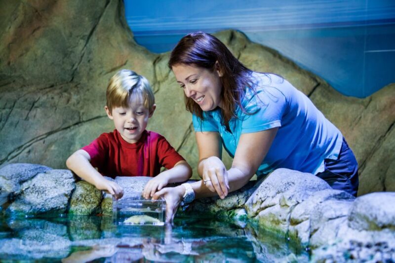 SEA LIFE Paris: Admission Ticket - FAQ