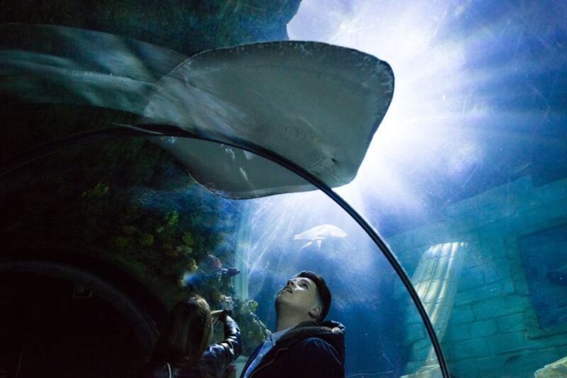 SEA LIFE Porto Full-Day Entrance Ticket - Who Will Love This Experience?