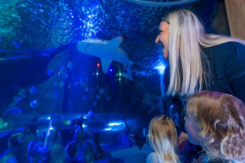 Sea Life Scarborough - Engaging Meta Description: