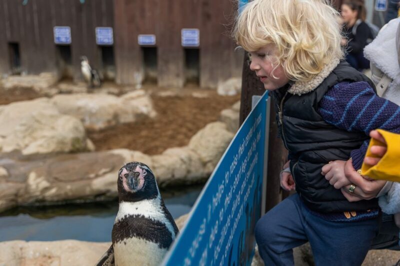 Sea Life Scarborough - Quick Overview