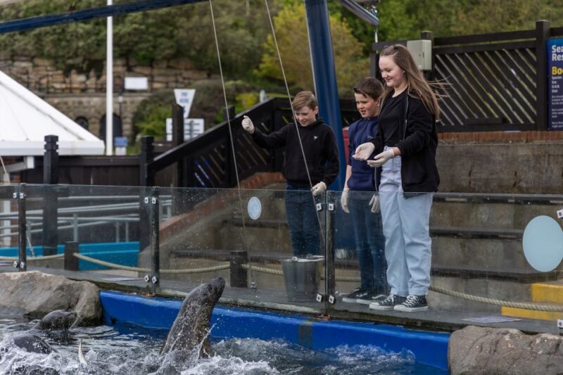 Sea Life Scarborough - Who Will Love This Experience?