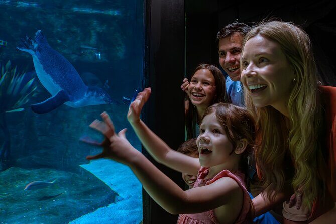 SEA LIFE Sunshine Coast Aquarium Entrance Ticket - Why It’s a Solid Choice