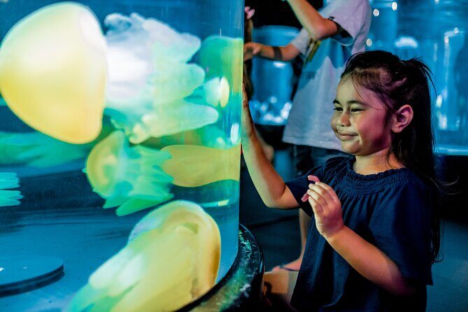 SEA LIFE Sydney Aquarium Entrance Ticket - Who Will Enjoy This Experience?