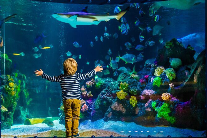 SEA LIFE Timmendorfer Strand Admission Ticket - What Visitors Are Saying: Authentic Perspectives
