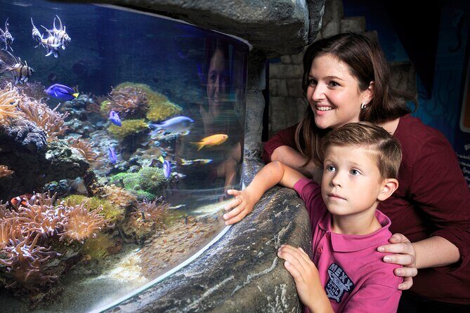 SEA LIFE Timmendorfer Strand Admission Ticket - Practical Tips for Visiting SEA LIFE Timmendorfer Strand