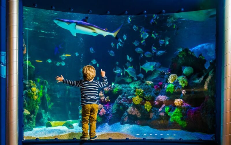 SEA LIFE Timmendorfer Strand Ticket - FAQ