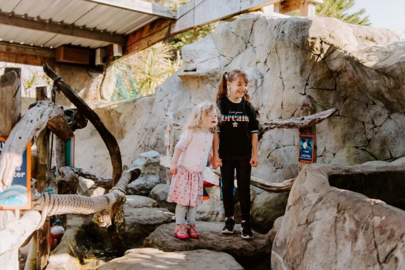 Sea Life Weymouth Admission Ticket - Key Points