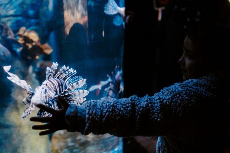 Sea Life Weymouth Admission Ticket - A Detailed Look at Sea Life Weymouth