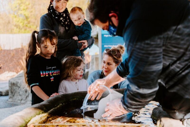 Sea Life Weymouth Admission Ticket - Final Thoughts on Value and Experience