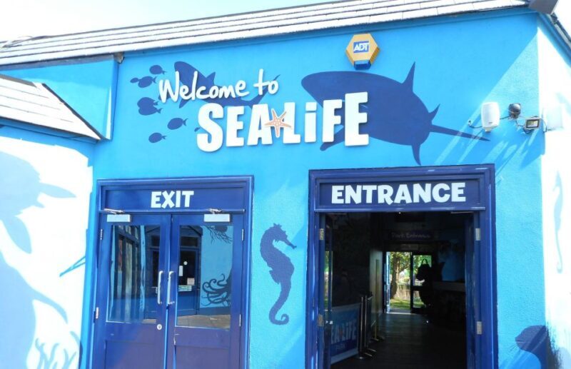 Sea Life Weymouth Admission Ticket - Frequently Asked Questions
