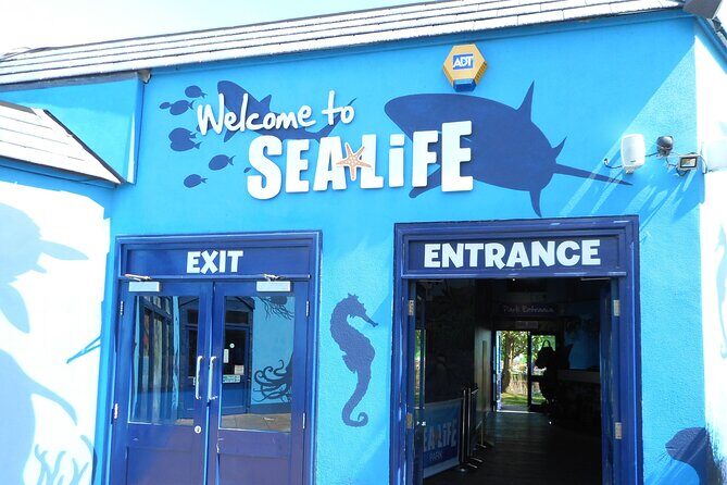 SEA LIFE Weymouth Admission Ticket - An In-Depth Look at Weymouth’s SEA LIFE Center