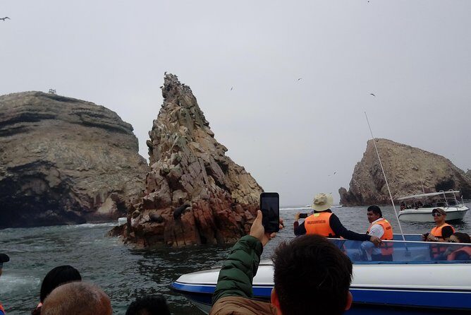 Sea Lions !!! Experience in the Ocean - Exploring the Palomino Islands: An Authentic Coastal Adventure