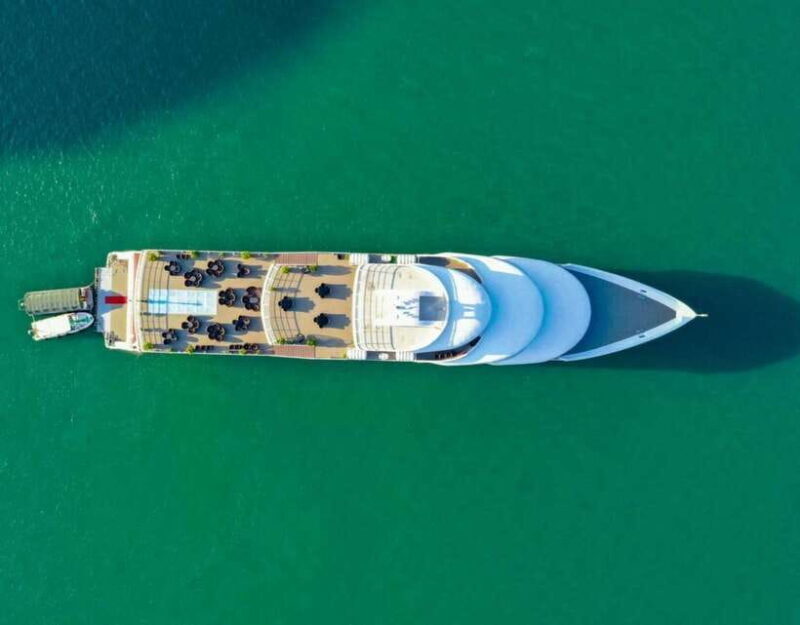 Sea Octopus Cruise - Top Luxury Day Tour Explore Halong Bay - Who Is This Tour Best For?