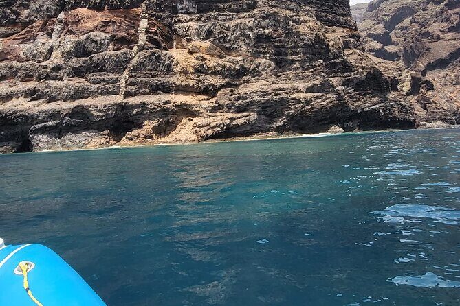SEA SAFARI Dolphins, Whales, 3h speedboat DISCOVERY-TOUR - FAQ