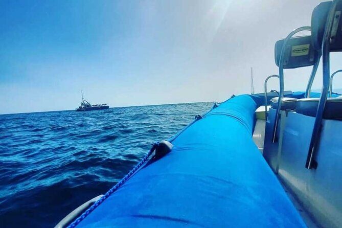 SEA SAFARI, Dolphins, Whales, snorkeling, snack and drink, 2 h speedboat - A Deep Dive into the Tenerife Sea Safari Experience