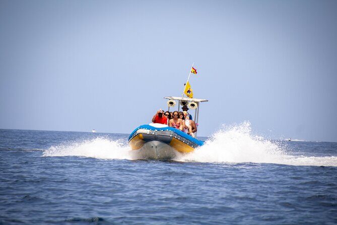 SEA SAFARI Dolphins,Whales, snorkeling, snack, drink, 3h private - Overview of the Sea Safari Experience in Tenerife