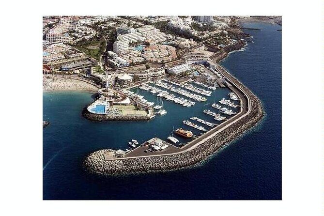 SEA SAFARI Dolphins,Whales, snorkeling, snack, drink, 3h private - Final Thoughts: Is It Worth It?