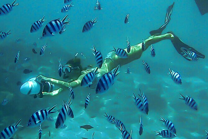 Sea Scooter Snorkel Tour - Lagoon Discovery : Wrecks, Coral Gardens and Tropical Fishies - Experience the Best of Tahiti’s Underwater World with the Sea Scooter Snorkel Tour