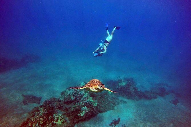 Sea Scooter Snorkeling Guided Tour - Turtle Town - A Deep Dive Into Your Maui Sea Scooter Adventure