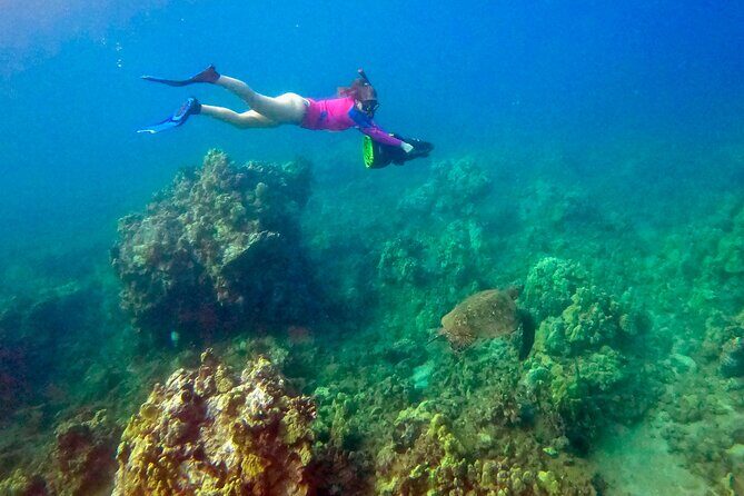 Sea Scooter Snorkeling Guided Tour - Turtle Town - FAQs