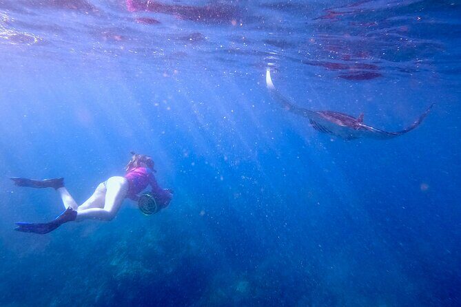 Sea Scooter Snorkeling Guided Tour - Turtle Town - Final Thoughts