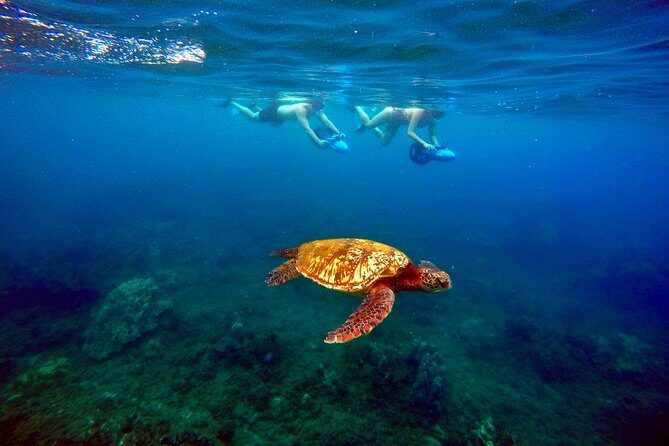 Sea Scooter Snorkeling Guided Tour - Wailea Beach - Who Will Love This Tour?