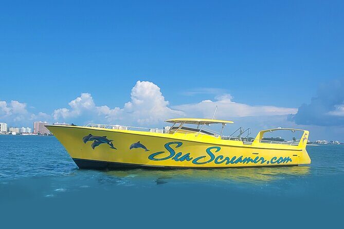 Sea Screamer Clearwater's Only Speed Boat Dolphin Watching - FAQs
