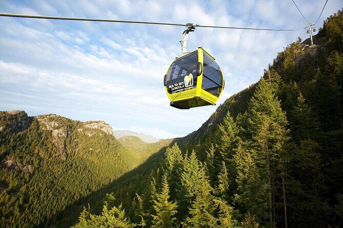 Sea to Sky Gondola Ticket - An Authentic and Scenic Adventure on the Sea to Sky Gondola