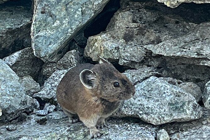 Sea to Sky Hiking Adventure - FAQs