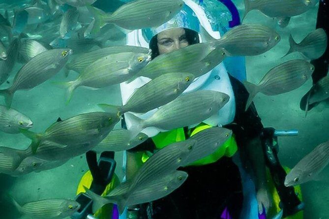 Sea Trek and Diving for handicaped people - Who Should Consider This Tour?