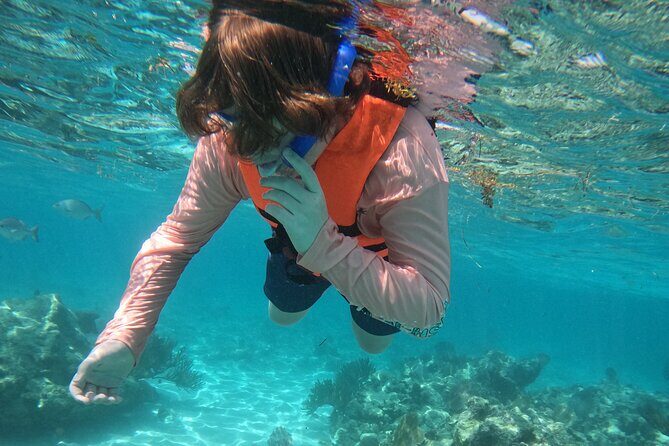 Sea Turtle Snorkeling in Akumal - The Practical Details