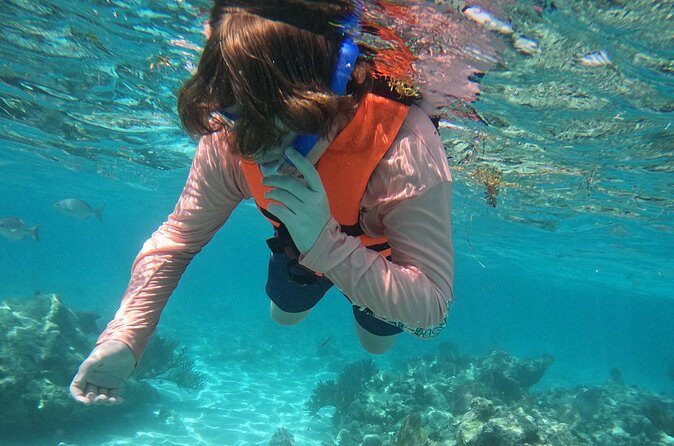 Sea Turtle Snorkeling in Akumal - The Sum Up