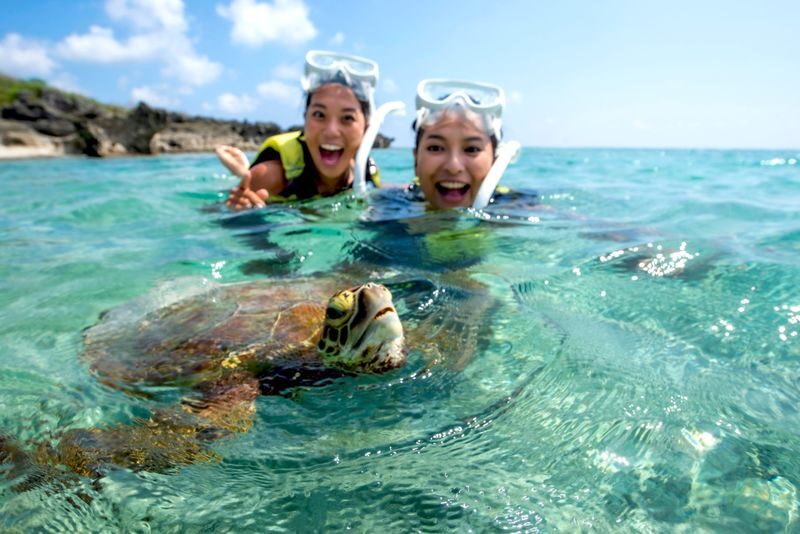 Sea Turtles & Clownfish Snorkeling Experience in Miyako Island - Meeting Miyakojima’s Sea Turtles