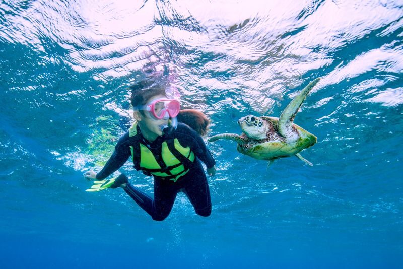 Sea Turtles & Clownfish Snorkeling Experience in Miyako Island - A Three-Hour Outing From Hirara