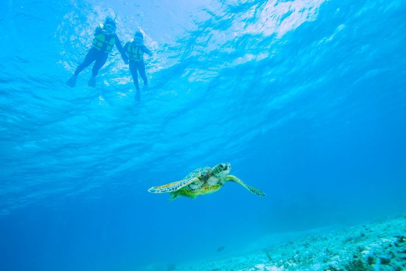 Sea Turtles & Clownfish Snorkeling Experience in Miyako Island - Included Gear, Photos, and Post-Swim Comfort