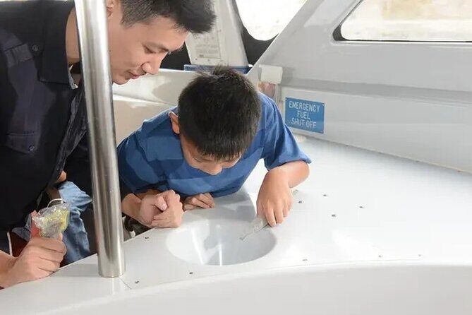 Sea View Glass Bottom Boat Excursion - An In-Depth Look at the Experience