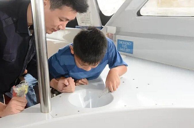 Sea View Glass Bottom Boat Excursion - Practical Tips for Your Trip