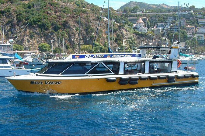 Sea View Glass Bottom Boat Excursion - Final Thoughts: Is This Tour Worth It?