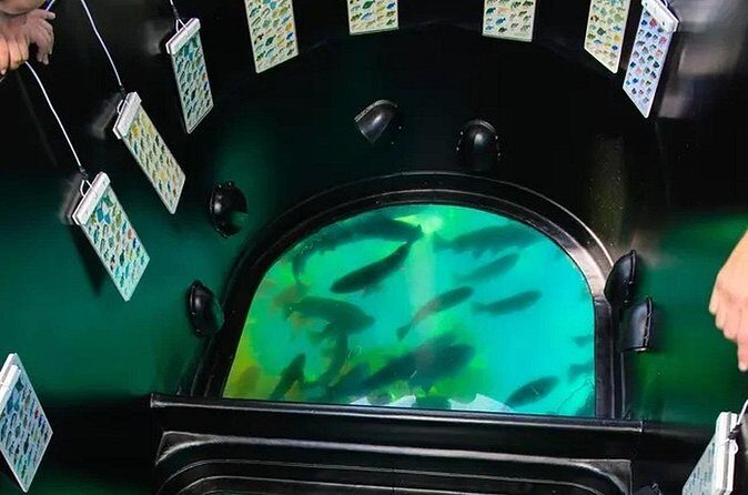 Sea View Glass Bottom Boat Excursion - Frequently Asked Questions